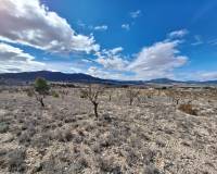 Resale - Grond - Salinas