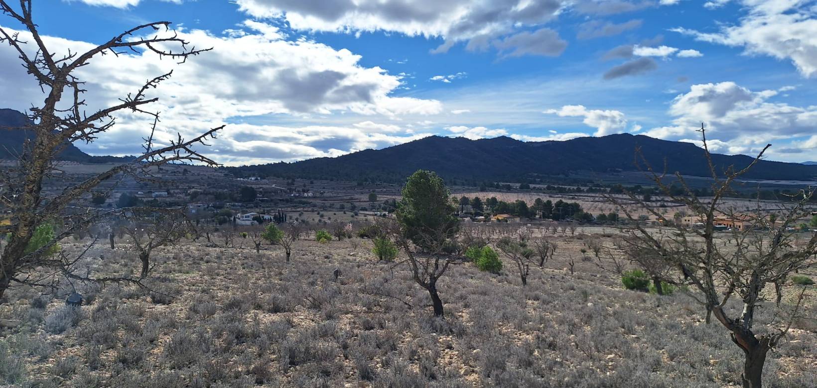 Resale - Grond - Salinas