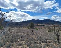 Resale - Grond - Salinas