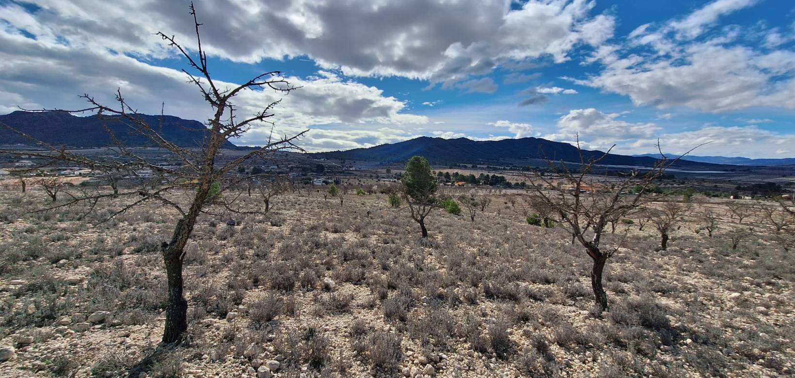 Resale - Grond - Salinas