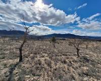 Resale - Grond - Salinas