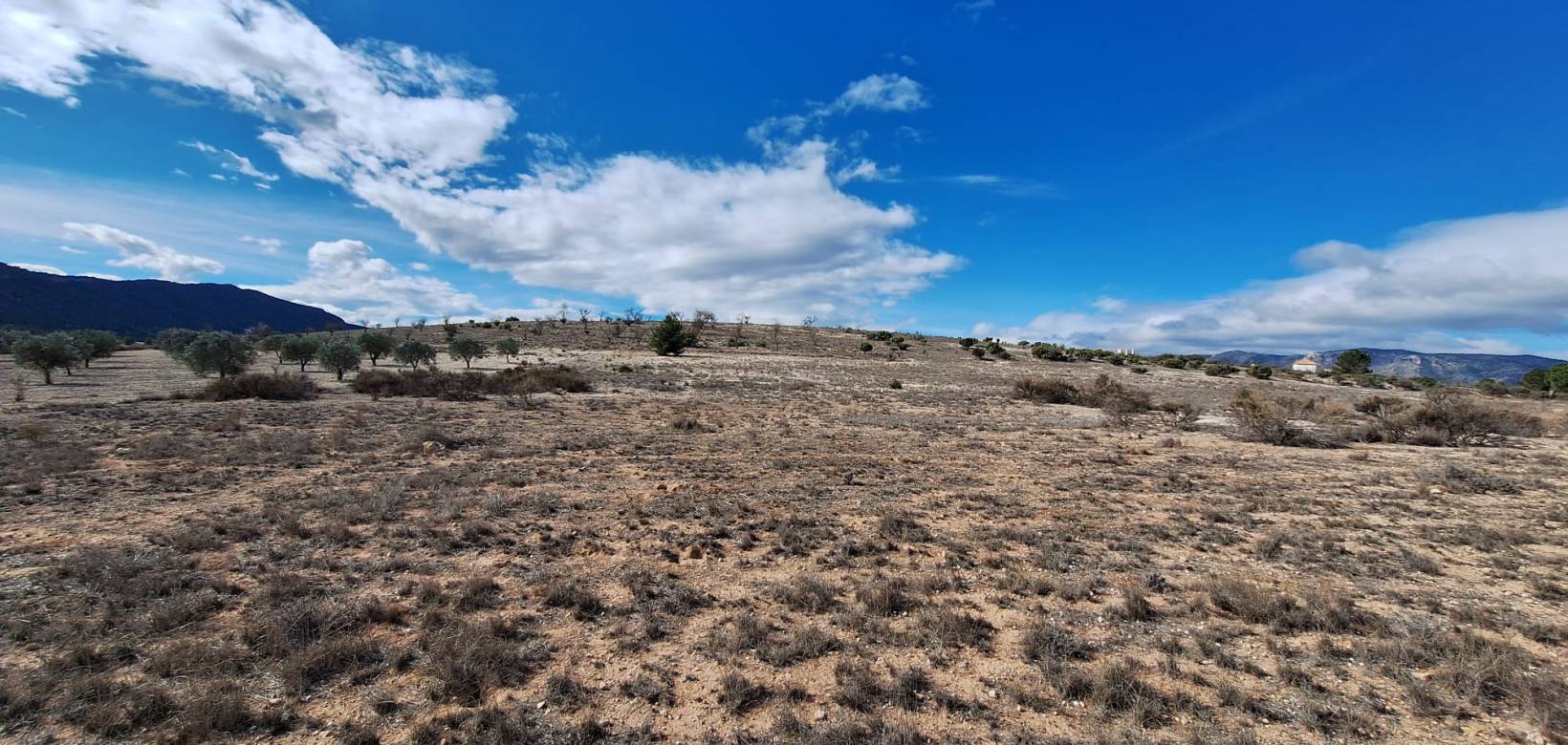 Resale - Grond - Salinas