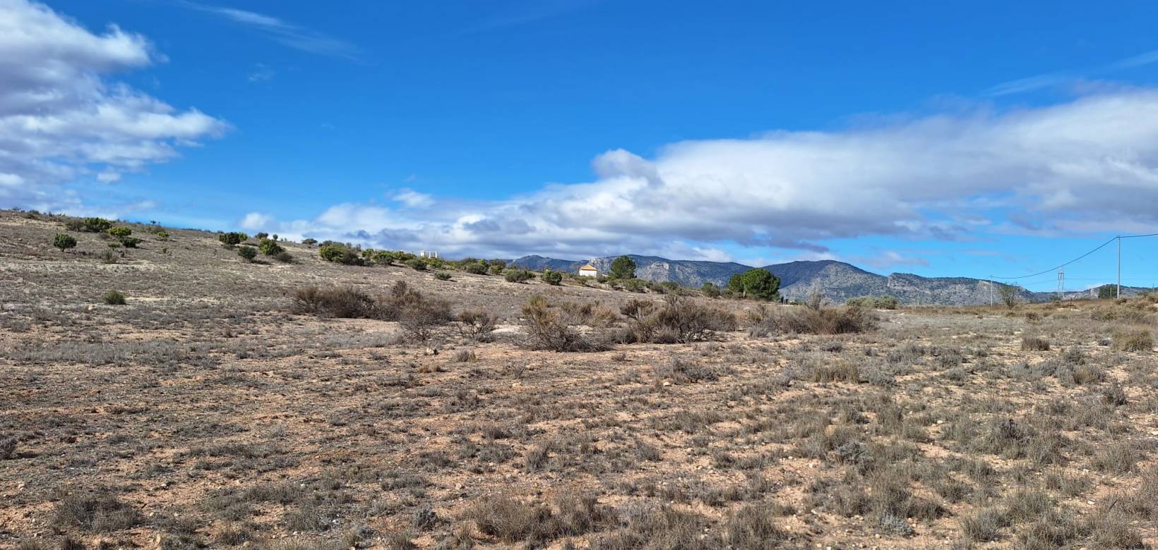 Resale - Grond - Salinas