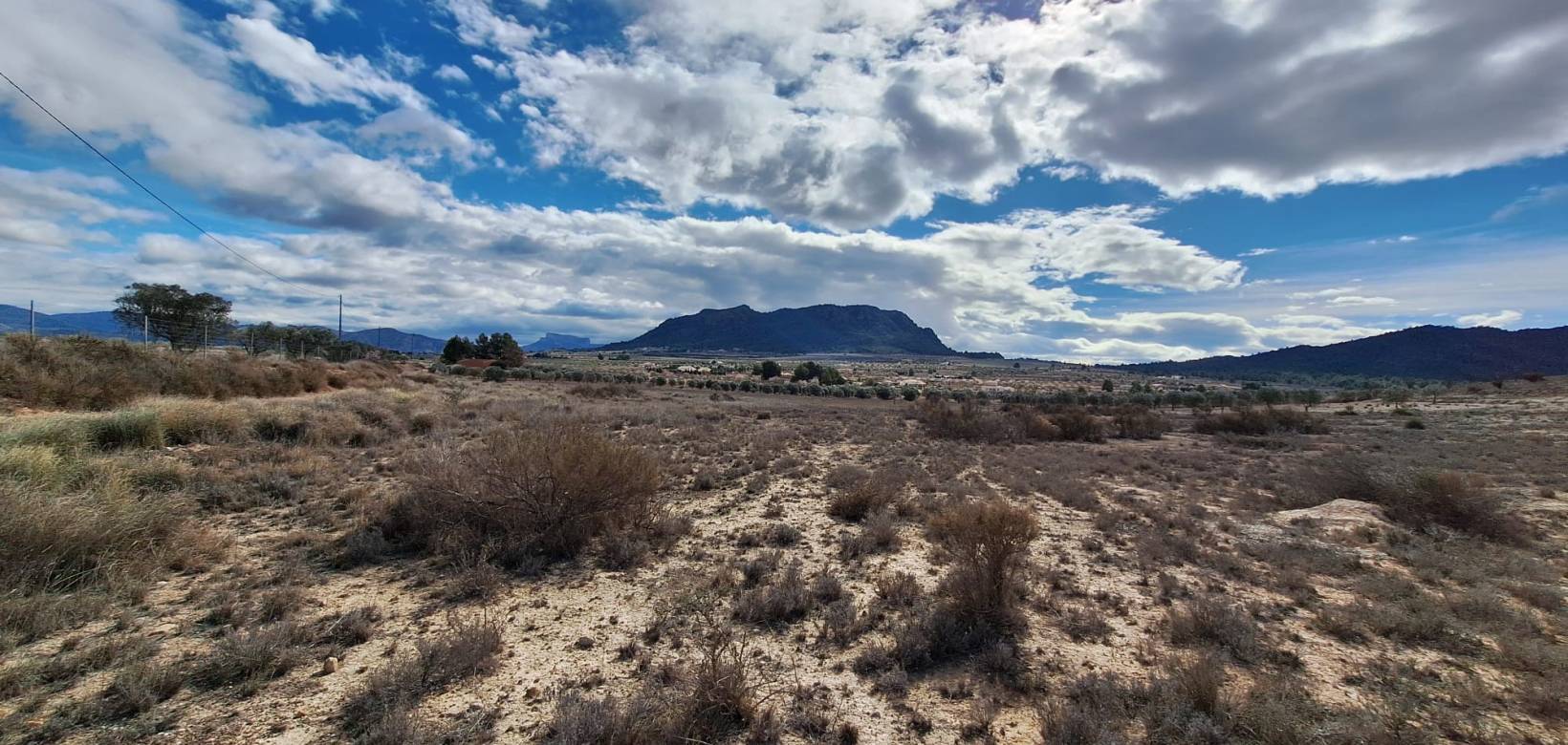 Resale - Grond - Salinas