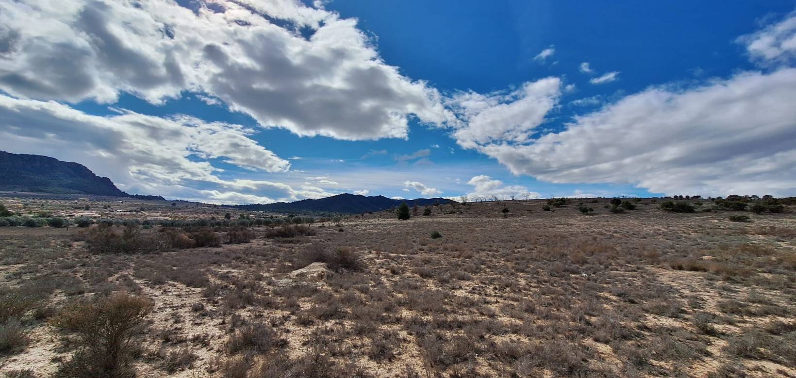 Resale - Grond - Salinas