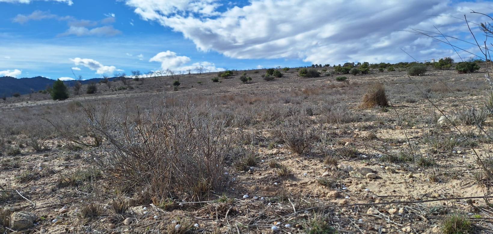 Resale - Grond - Salinas