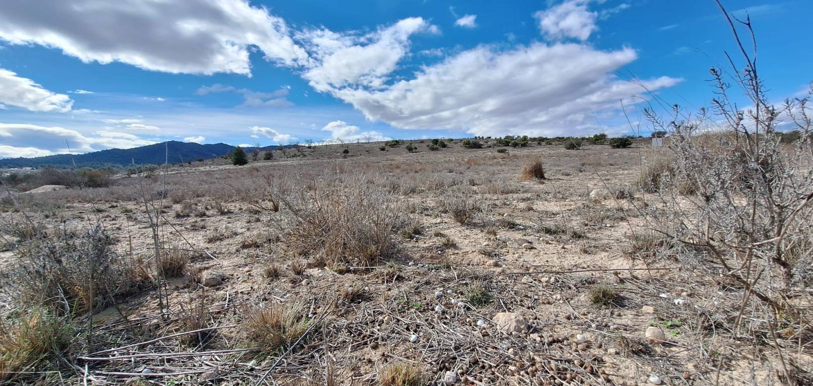 Resale - Grond - Salinas