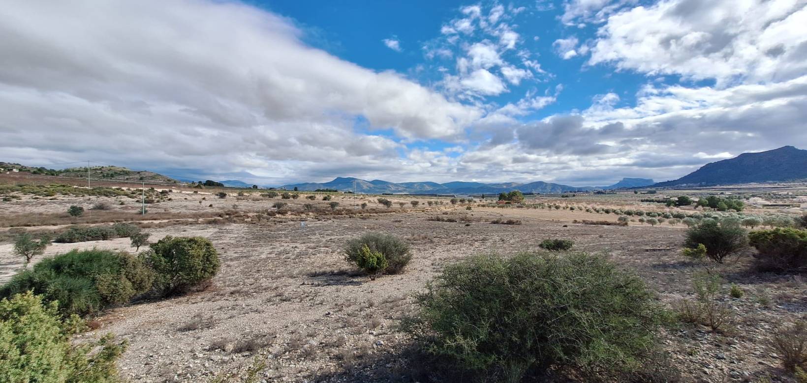 Resale - Grond - Salinas