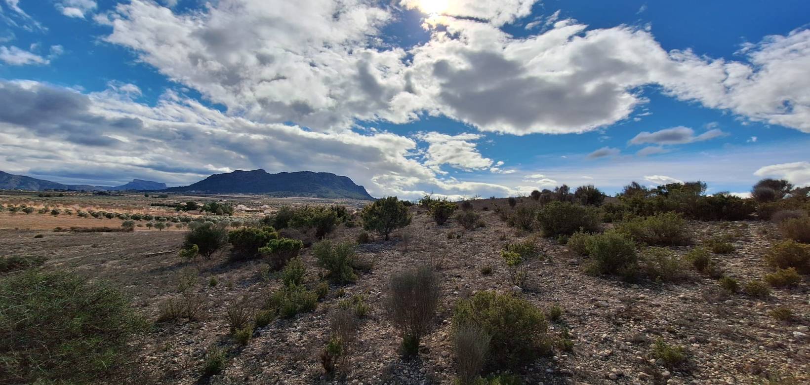 Resale - Grond - Salinas