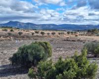 Resale - Grond - Salinas