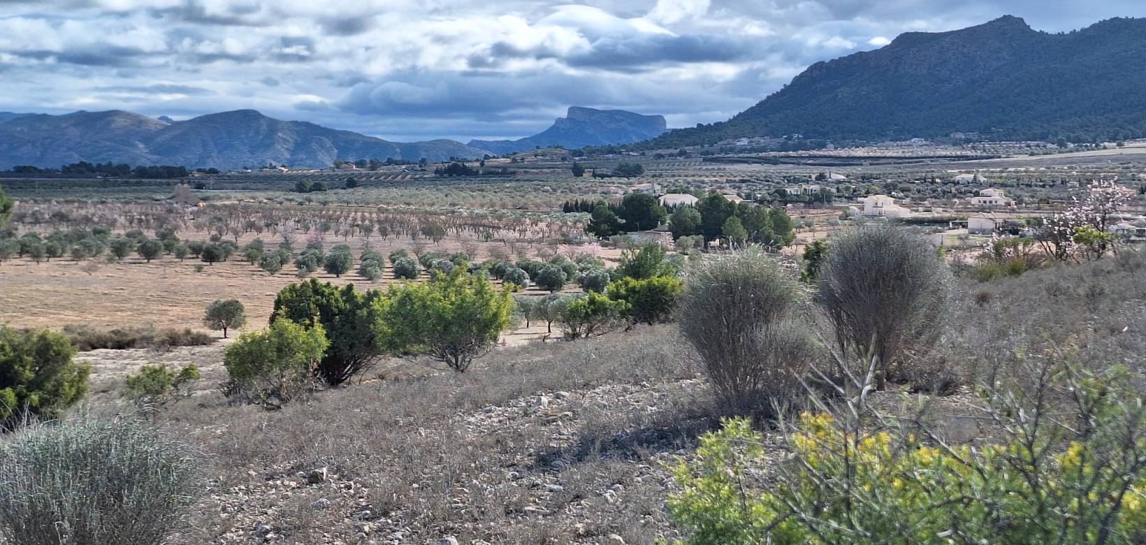 Resale - Grond - Salinas