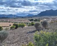 Resale - Grond - Salinas