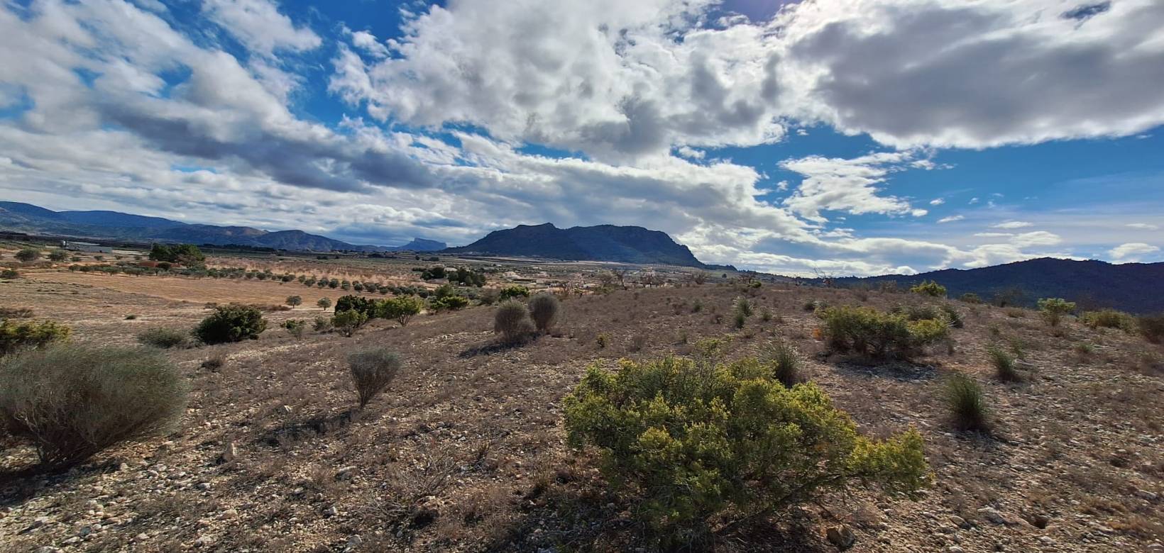 Resale - Grond - Salinas