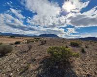 Resale - Grond - Salinas