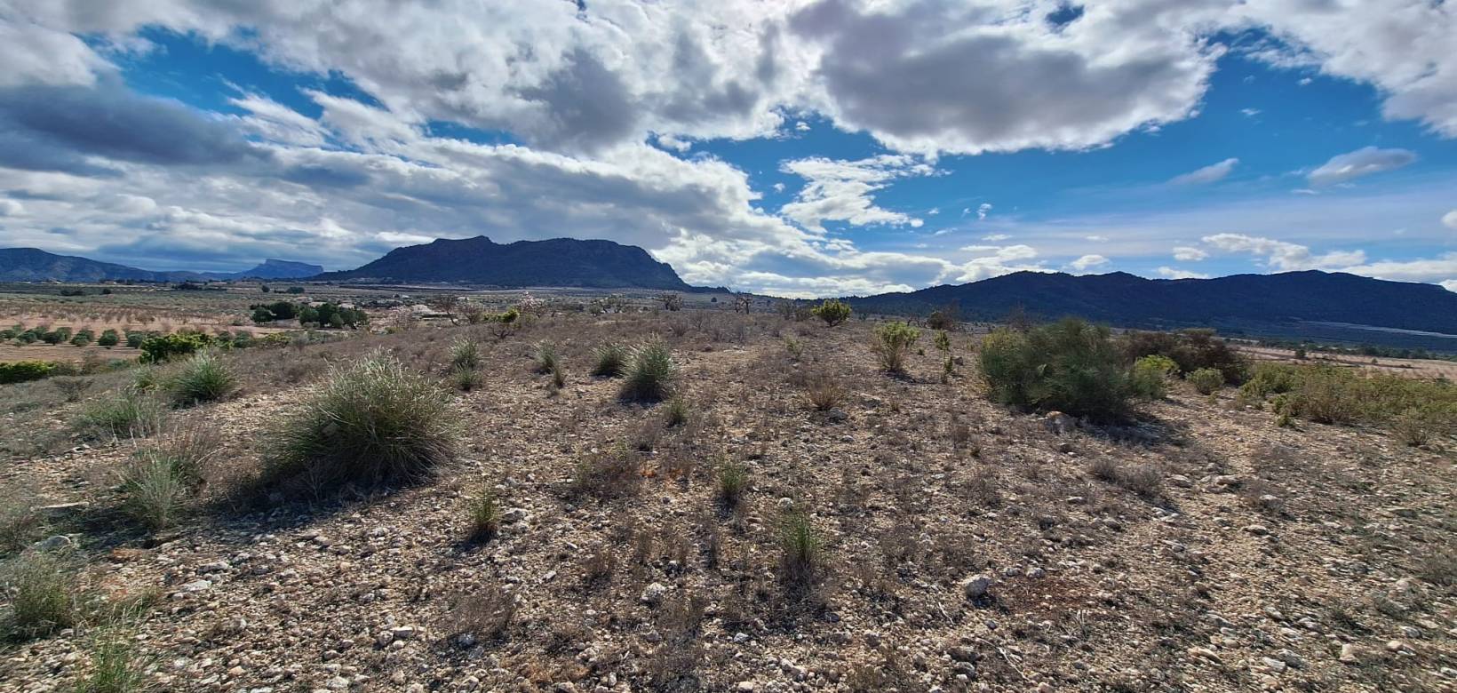 Resale - Grond - Salinas