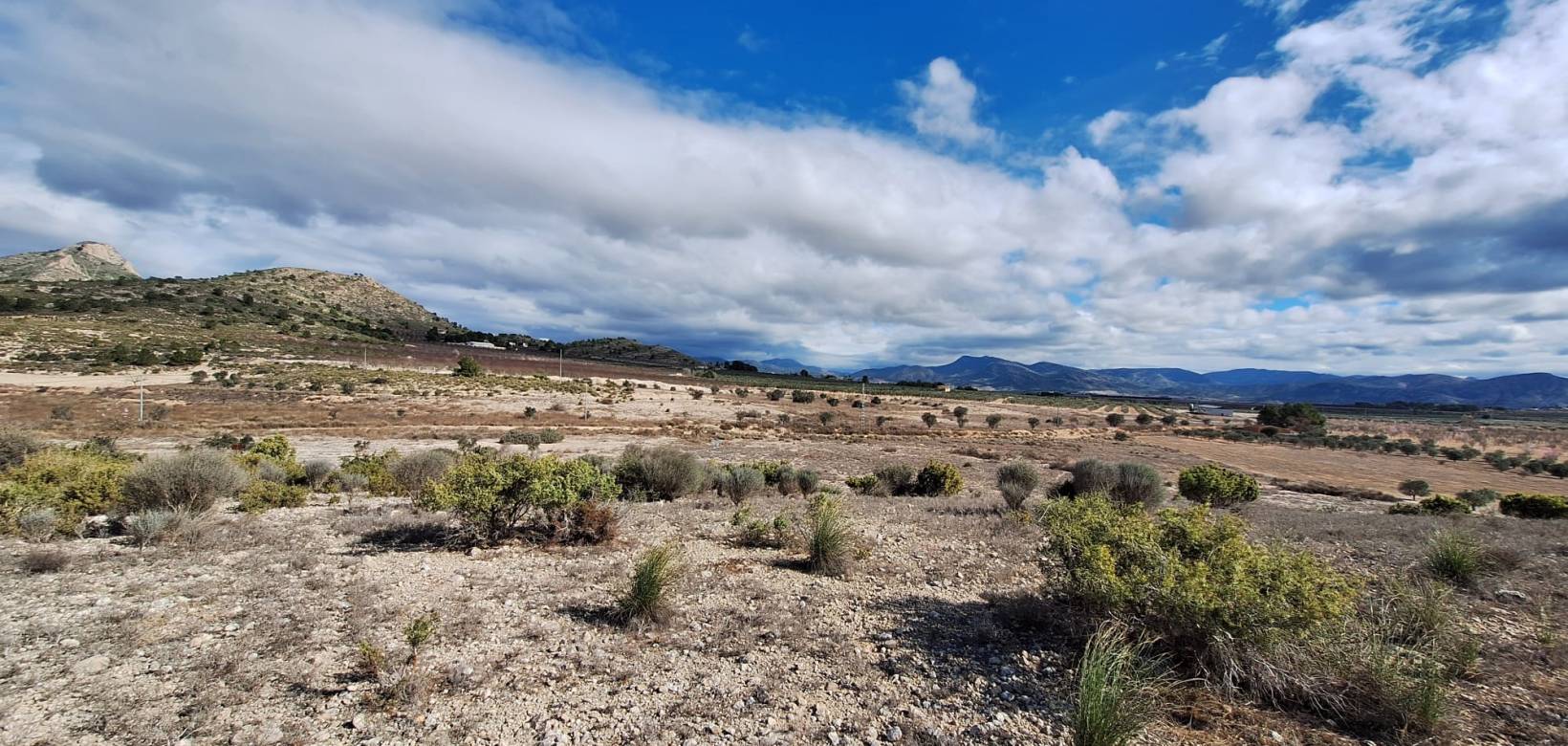 Resale - Grond - Salinas