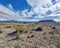 Resale - Grond - Salinas