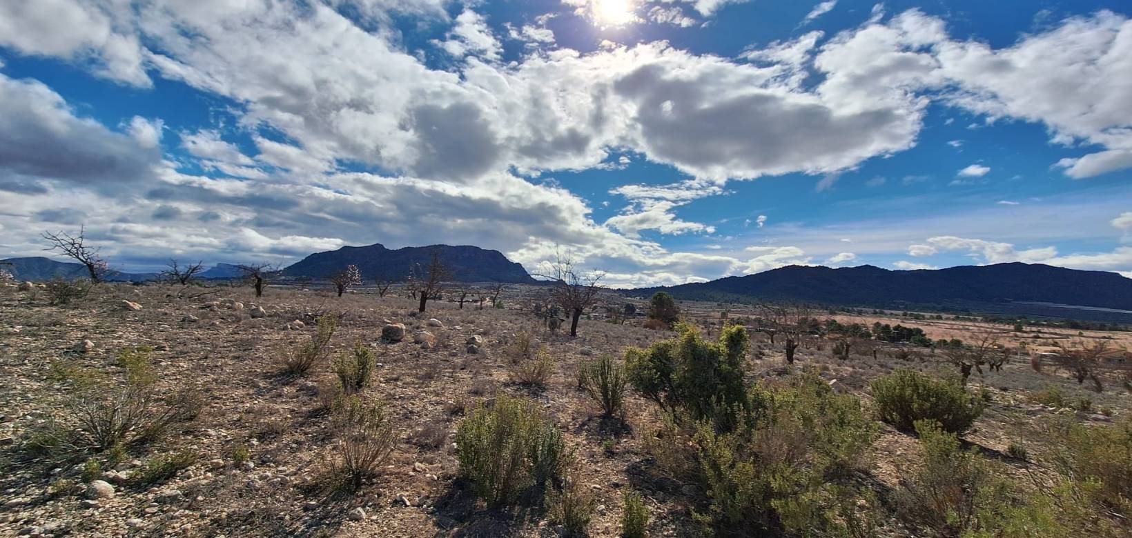 Resale - Grond - Salinas