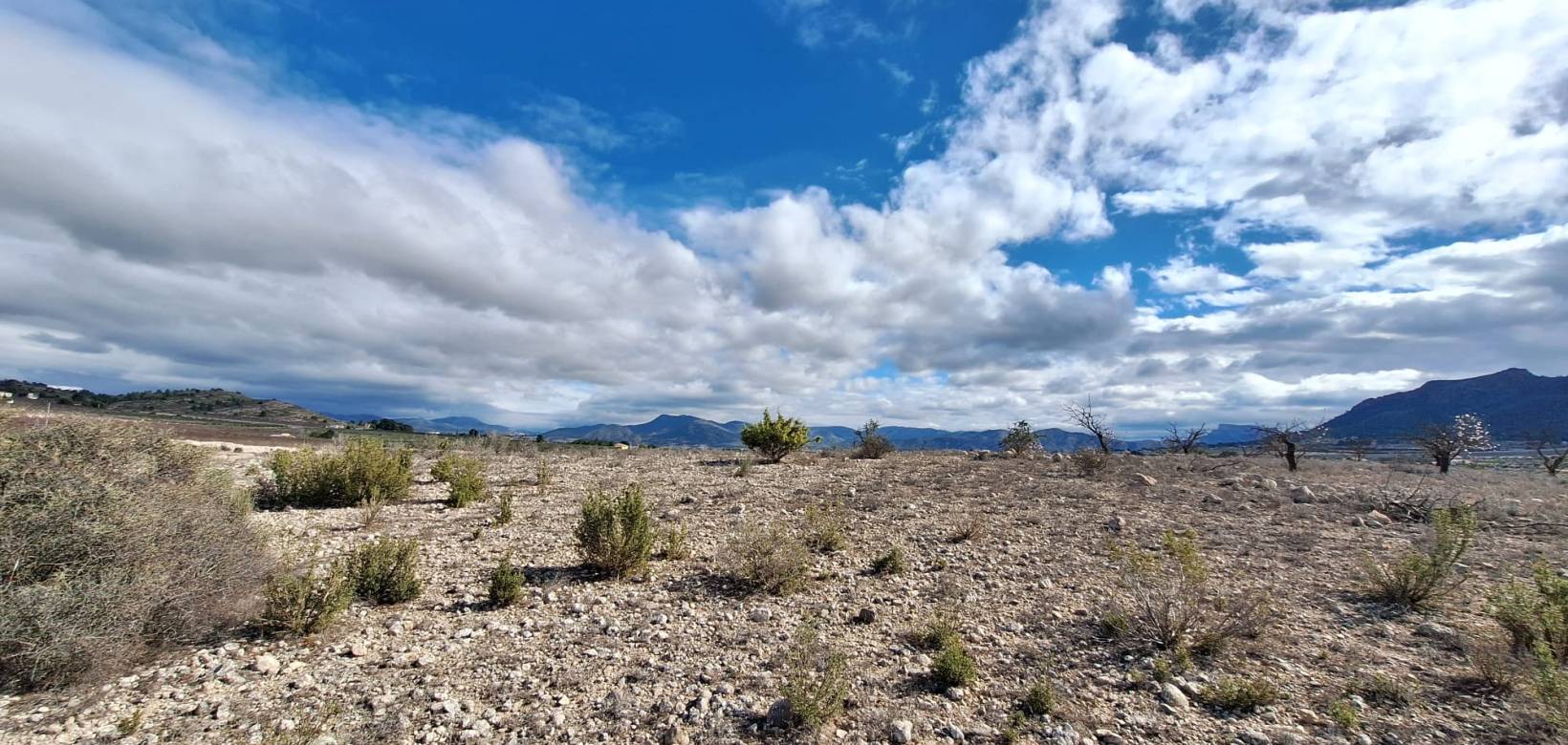 Resale - Grond - Salinas