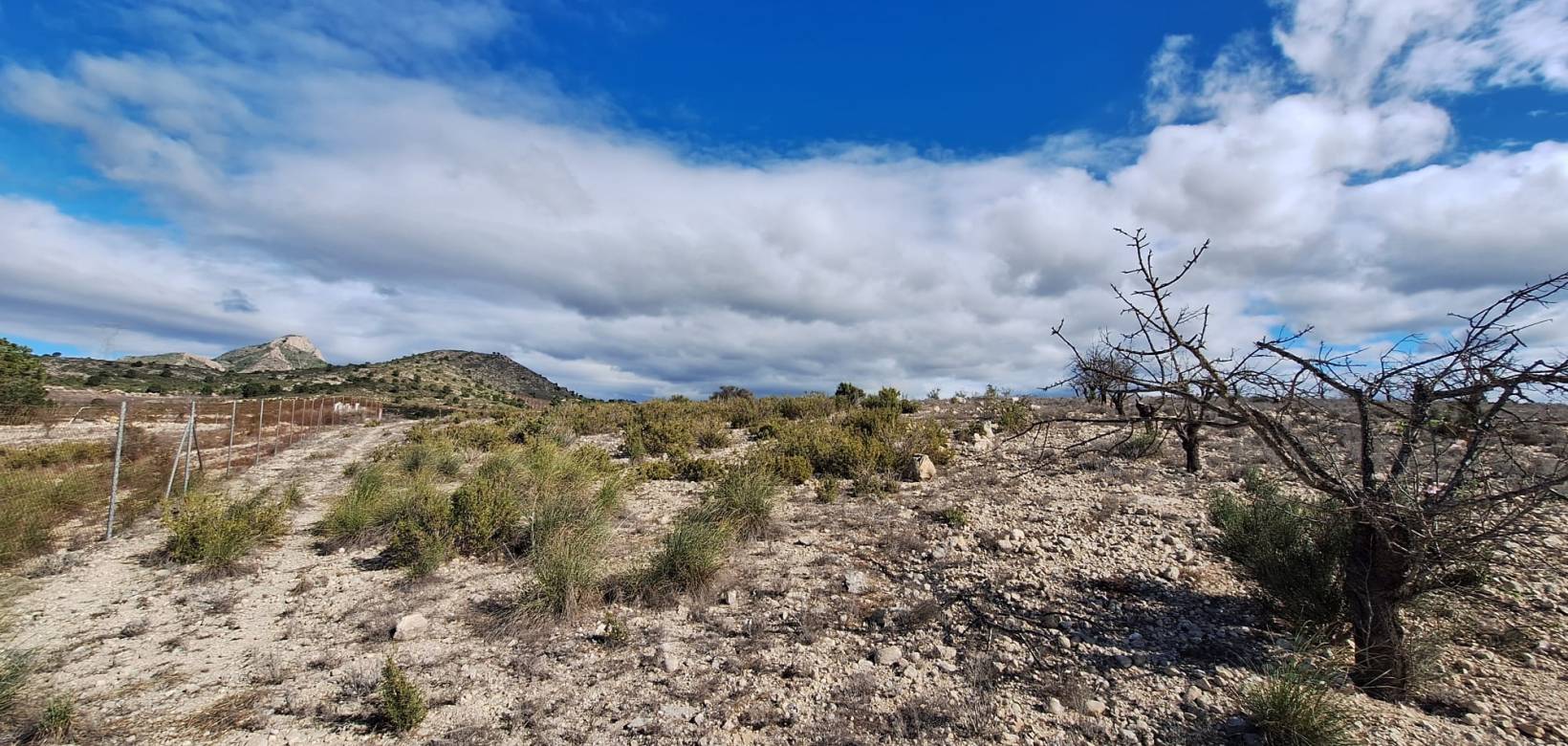 Resale - Grond - Salinas