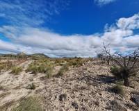 Resale - Grond - Salinas