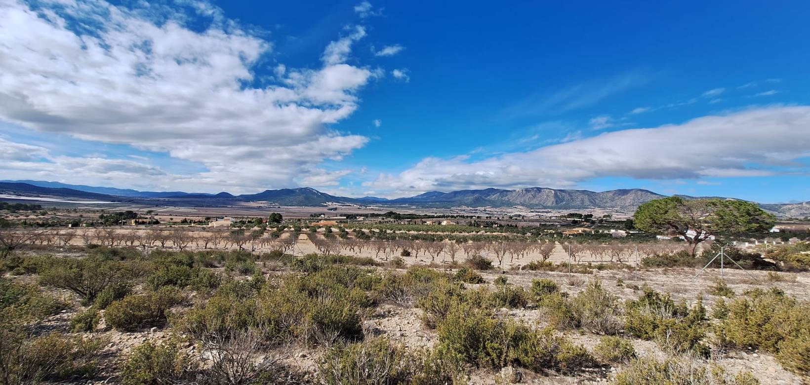 Resale - Grond - Salinas