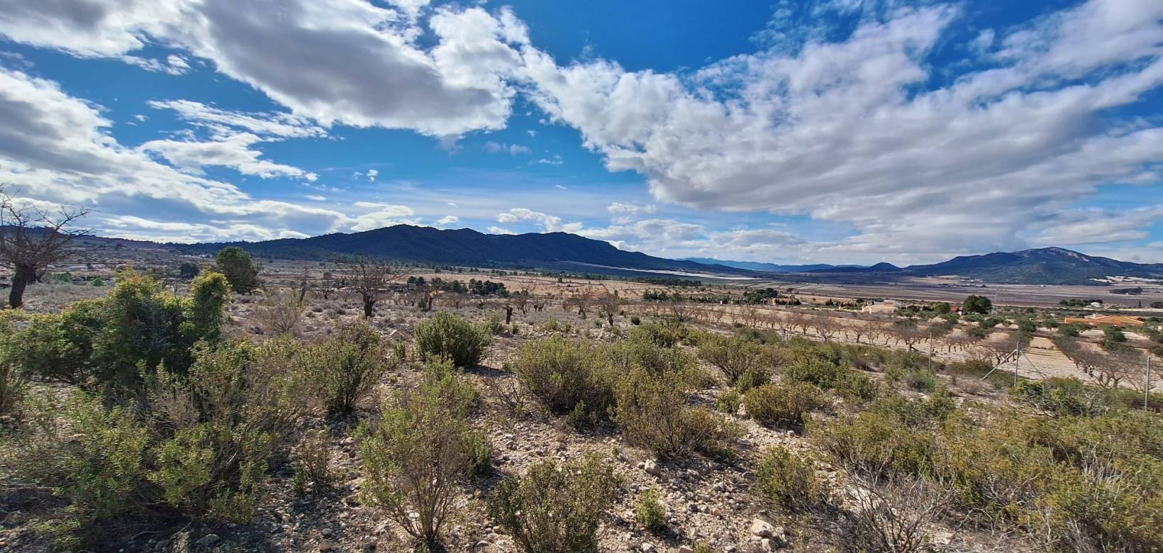 Resale - Grond - Salinas