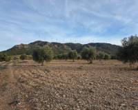 Resale - Land - Jumilla