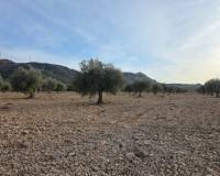 Resale - Land - Jumilla