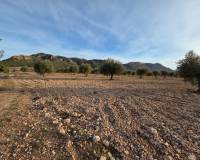 Resale - Land - Jumilla
