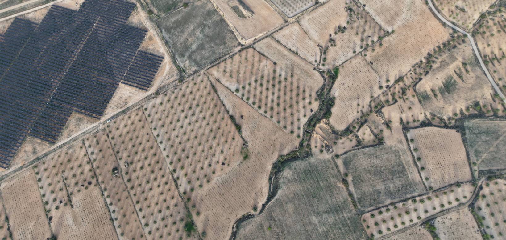 Resale - Land - Jumilla