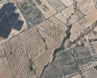 Resale - Land - Jumilla