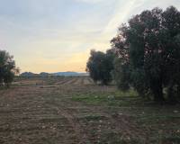 Resale - Land - Jumilla