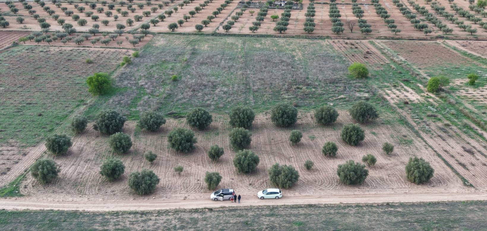 Resale - Land - Jumilla