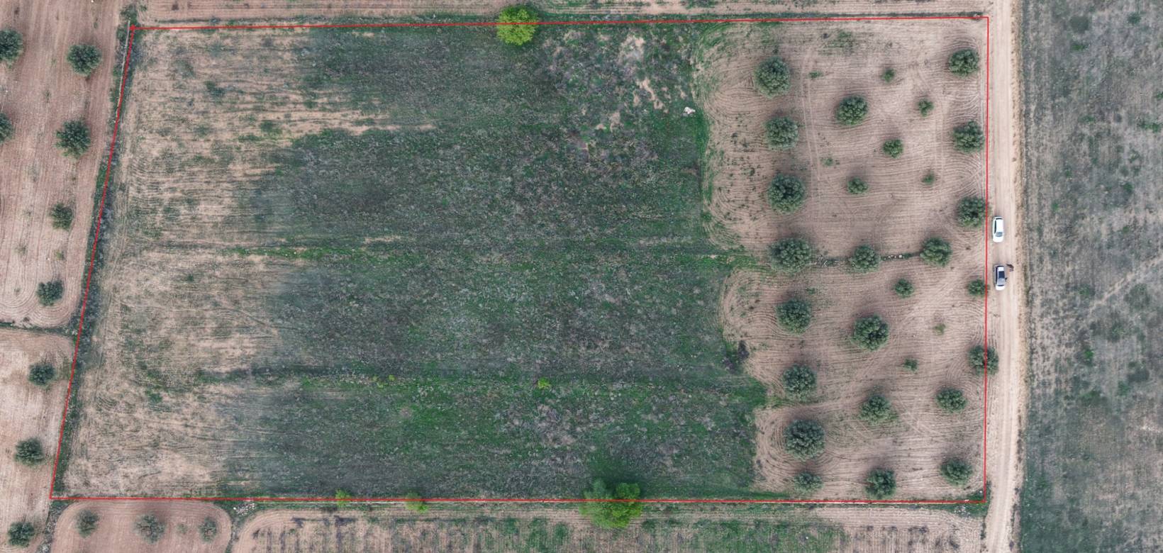 Resale - Land - Jumilla