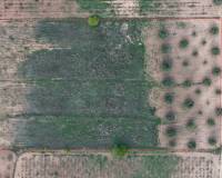 Resale - Land - Jumilla