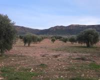 Resale - Land - Jumilla