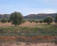 Resale - Land - Jumilla