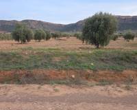 Resale - Land - Jumilla