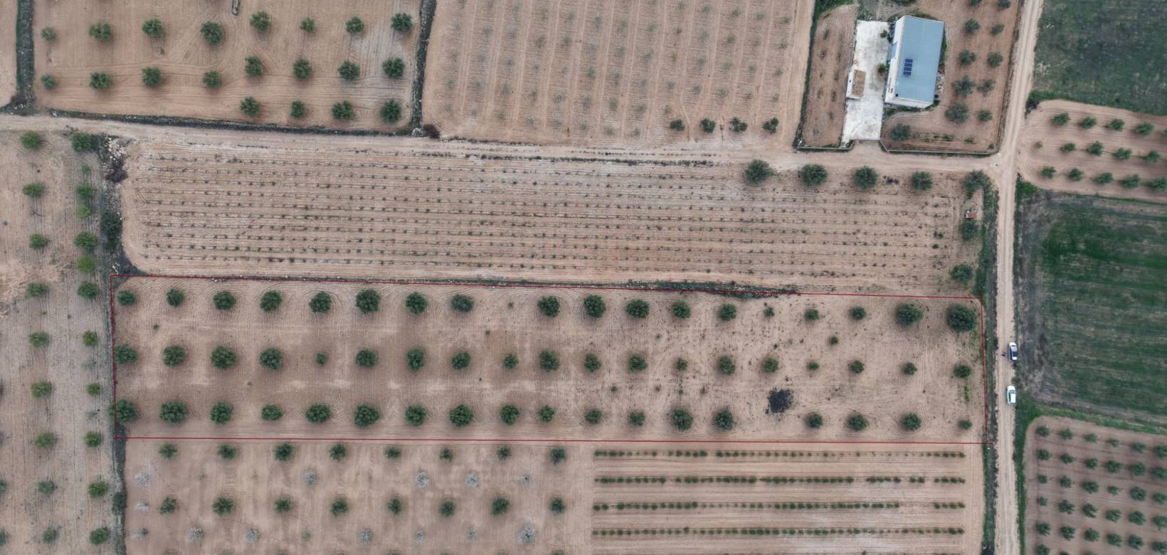 Resale - Land - Jumilla