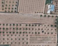 Resale - Land - Jumilla