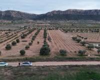 Resale - Land - Jumilla