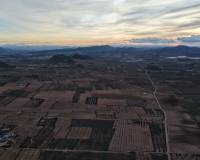 Resale - Land - Jumilla