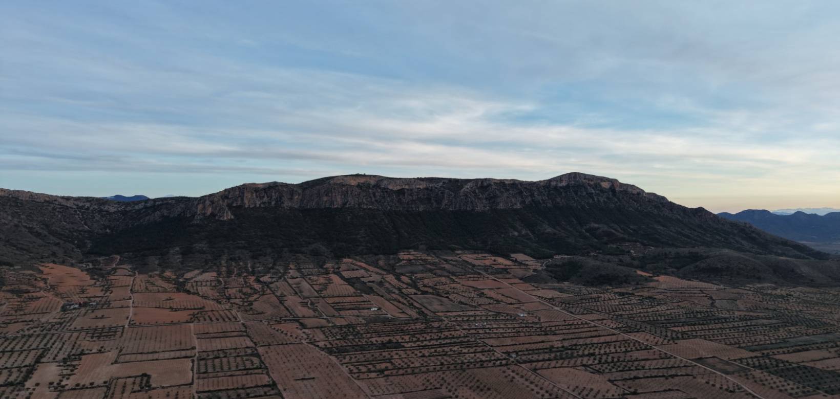 Resale - Land - Jumilla