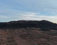 Resale - Land - Jumilla