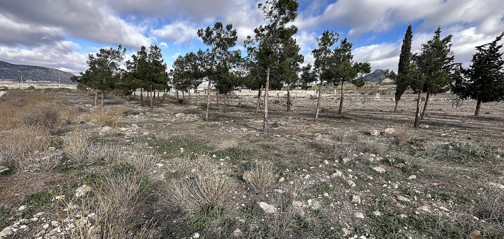 Resale - Land - Salinas