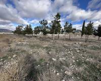 Resale - Land - Salinas