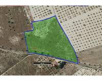 Resale - Land - Salinas