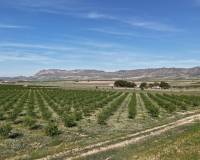 Resale - Land - Yecla - Yecla Murcia
