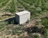 Resale - Land - Yecla - Yecla Murcia